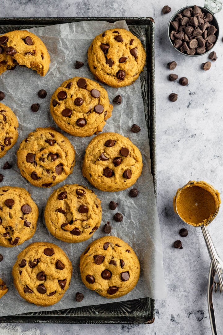 Chocolate Chip Pumpkin Cookies