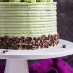 Mint Chocolate Chip Layer Cake - Deliciously moist and fluffy mint chocolate cake layered with silky Swiss meringue buttercream and chocolate chips!
