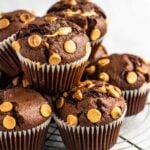 Chocolate Peanut Butter Muffins