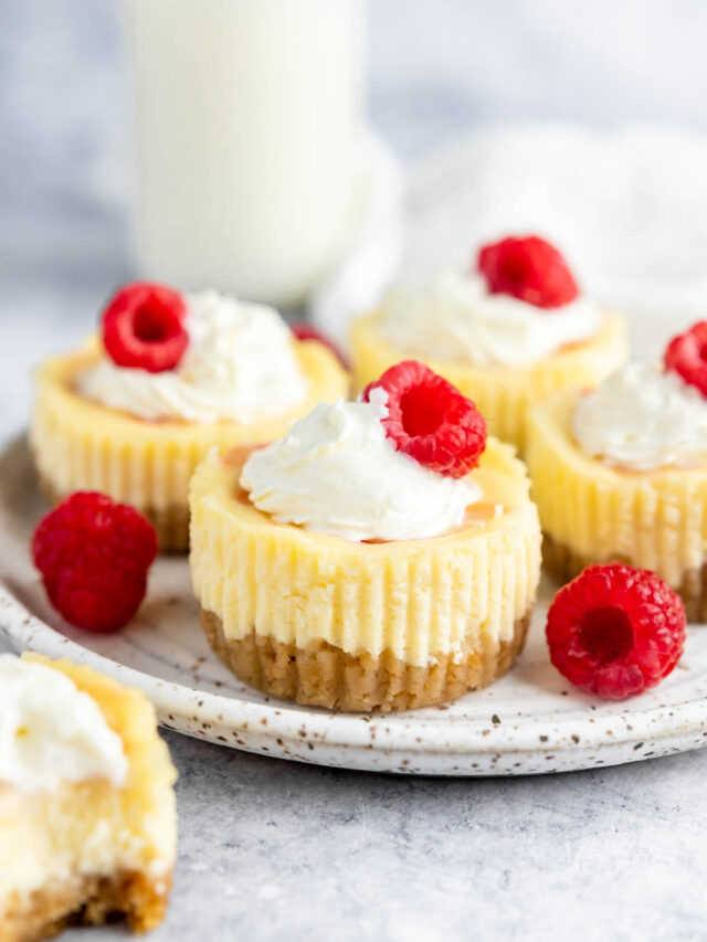 Raspberry Swirl Mini Cheesecakes