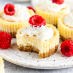 Raspberry Swirl Mini Cheesecakes